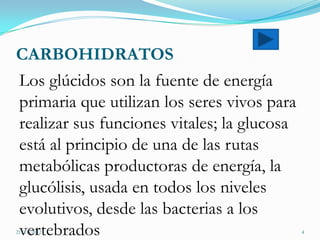 CARBOHIDRATOS
Los glúcidos son la fuente de energía
primaria que utilizan los seres vivos para
realizar sus funciones vitales; la glucosa
está al principio de una de las rutas
metabólicas productoras de energía, la
glucólisis, usada en todos los niveles
evolutivos, desde las bacterias a los
vertebrados
21/11/2012                                   4
 