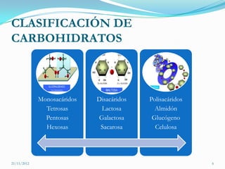 CLASIFICACIÓN DE
CARBOHIDRATOS



             Monosacáridos   Disacáridos   Polisacáridos
               Tetrosas       Lactosa        Almidón
               Pentosas      Galactosa      Glucógeno
               Hexosas        Sacarosa       Celulosa




21/11/2012                                                 6
 