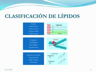 CLASIFICACIÓN DE LÍPIDOS
                  Simples
                Ácidos grasos
                Cadena corta
                Cadena media
                Cadena larga


                 Complejos :
                 Fosfolípidos
                Glucolipidos
                Lipoproteínas



             Sustancias asociadas
               Vitaminas lipo
               Ácidos biliares
                 Hormonas



21/11/2012                          8
 