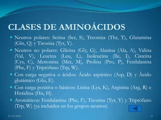CLASES DE AMINOÁCIDOS
  Neutros polares: Serina (Ser, S), Treonina (Thr, T), Glutamina
     (Gln, Q) y Tirosina (Tyr, Y).
    Neutros no polares: Glicina (Gly, G), Alanina (Ala, A), Valina
     (Val, V), Leucina (Leu, L), Isoleucina (Ile, I), Cisteína
     (Cys, C), Metionina (Met, M), Prolina (Pro, P), Fenilalanina
     (Phe, F) y Triptófano (Trp, W).
    Con carga negativa o ácidos: Ácido aspártico (Asp, D) y Ácido
     glutámico (Glu, E).
    Con carga positiva o básicos: Lisina (Lys, K), Arginina (Arg, R) e
     Histidina (His, H).
    Aromáticos: Fenilalanina (Phe, F), Tirosina (Tyr, Y) y Triptófano
     (Trp, W) (ya incluidos en los grupos neutros)
21/11/2012                                                            11
 