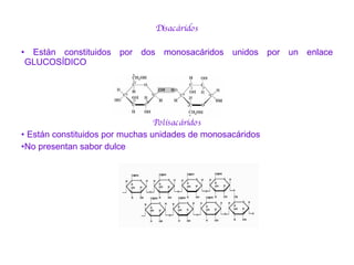 <ul><li>Disacáridos </li></ul><ul><li>Están constituidos por dos monosacáridos unidos por un enlace GLUCOSÍDICO </li></ul>...
