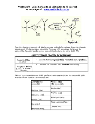 Vestibular1 – A melhor ajuda ao vestibulando na Internet
          Acesse Agora ! www.vestibular1.com.br




Quando a ligação ocorre entre 2 AA chamamos a molécula formada de dipeptídio. Quando
ocorre com 3 AA chamamos de tripeptídio. Acima de 4 AA a molécula é chamada de
polipeptídio. As proteínas são sempre polipeptídios (costuma ter acima de 80 AA).

                    IDENTIFICAÇÃO PRÁTICA DE PROTEÍNAS

  Reagente Millon         •   aquecido forma um precipitado vermelho com a proteína.
    (incolor)
                          •        muda a cor azul-clara para violácea (arroxeada).
  Reação do Biureto
 (CuSO4 + NaOH)
     (cor azul)


Existem vinte tipos diferentes de AA que fazem parte das proteínas. Um mesmo AA pode
aparecer várias vezes na mesma molécula.


                    Aminoácidos                 Aminoácidos
                    essenciais                  não essenciais

                                                Alanina (Ala)
                    Histidina (His)
                                                Arginina (Arg)
                    Isoleucina (Iso)
                                                Asparagina (Asn)
                    Leucina (Leu)
                                                Ácido aspártico (Asp)
                    Lisina (Lis)
                                                Cisteína (Cis)
                    Metionina (Met)
 