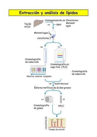 )! =
# 0
0 K #
# 0
)
# 0
)
" ) # 0 5
5
5
0
L
D 8"F
# 0 "4 #
K ;
D
K )
)
 