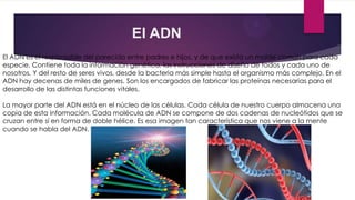 El ADN
El ADN es el responsable del parecido entre padres e hijos, y de que exista un molde común para cada
especie. Contiene toda la información genética, las instrucciones de diseño de todos y cada uno de
nosotros. Y del resto de seres vivos, desde la bacteria más simple hasta el organismo más complejo. En el
ADN hay decenas de miles de genes. Son los encargados de fabricar las proteínas necesarias para el
desarrollo de las distintas funciones vitales.
La mayor parte del ADN está en el núcleo de las células. Cada célula de nuestro cuerpo almacena una
copia de esta información. Cada molécula de ADN se compone de dos cadenas de nucleótidos que se
cruzan entre sí en forma de doble hélice. Es esa imagen tan característica que nos viene a la mente
cuando se habla del ADN.

 