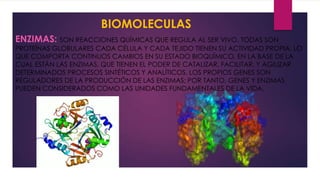 BIOMOLECULAS
ENZIMAS: SON REACCIONES QUÍMICAS QUE REGULA AL SER VIVO, TODAS SON

PROTEÍNAS GLOBULARES CADA CÉLULA Y CADA TEJIDO TIENEN SU ACTIVIDAD PROPIA, LO
QUE COMPORTA CONTINUOS CAMBIOS EN SU ESTADO BIOQUÍMICO, EN LA BASE DE LA
CUAL ESTÁN LAS ENZIMAS, QUE TIENEN EL PODER DE CATALIZAR, FACILITAR, Y AGILIZAR
DETERMINADOS PROCESOS SINTÉTICOS Y ANALÍTICOS. LOS PROPIOS GENES SON
REGULADORES DE LA PRODUCCIÓN DE LAS ENZIMAS; POR TANTO, GENES Y ENZIMAS
PUEDEN CONSIDERADOS COMO LAS UNIDADES FUNDAMENTALES DE LA VIDA.

 