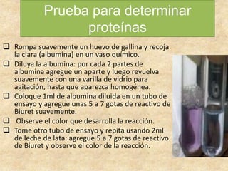 Rompa Color Biomoleculas | PPTX