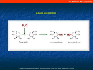 The McGraw-Hill Companies
© 2009 McGraw-Hill Interamericana Editores. Se requieren permisos de parte de los editores para reproducir o proyectar.
Enlace Glucosídico
 