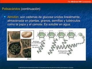 The McGraw-Hill Companies
© 2009 McGraw-Hill Interamericana Editores. Se requieren permisos de parte de los editores para reproducir o proyectar.
PolisacáridosPolisacáridos (continuación)(continuación)
 AlmidónAlmidón: son cadenas de glucosa unidas linealmente,: son cadenas de glucosa unidas linealmente,
almacenada en plantas, granos, semillas y tubérculosalmacenada en plantas, granos, semillas y tubérculos
como la papa y el camote. Es soluble en agua.como la papa y el camote. Es soluble en agua.
 
