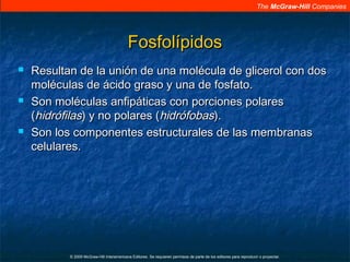 The McGraw-Hill Companies
© 2009 McGraw-Hill Interamericana Editores. Se requieren permisos de parte de los editores para reproducir o proyectar.
FosfolípidosFosfolípidos
 Resultan de la unión de una molécula de glicerol con dosResultan de la unión de una molécula de glicerol con dos
moléculas de ácido graso y una de fosfato.moléculas de ácido graso y una de fosfato.
 Son moléculas anfipáticas con porciones polaresSon moléculas anfipáticas con porciones polares
((hidrófilashidrófilas) y no polares () y no polares (hidrófobashidrófobas).).
 Son los componentes estructurales de las membranasSon los componentes estructurales de las membranas
celulares.celulares.
 