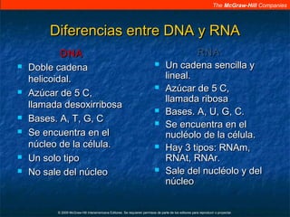 The McGraw-Hill Companies
© 2009 McGraw-Hill Interamericana Editores. Se requieren permisos de parte de los editores para reproducir o proyectar.
Diferencias entre DNA y RNADiferencias entre DNA y RNA
DNADNA
 Doble cadenaDoble cadena
helicoidal.helicoidal.
 Azúcar de 5 C,Azúcar de 5 C,
llamada desoxirribosallamada desoxirribosa
 Bases. A, T, G, CBases. A, T, G, C
 Se encuentra en elSe encuentra en el
núcleo de la célula.núcleo de la célula.
 Un solo tipoUn solo tipo
 No sale del núcleoNo sale del núcleo
RNARNA
 Un cadena sencilla yUn cadena sencilla y
lineal.lineal.
 Azúcar de 5 C,Azúcar de 5 C,
llamada ribosallamada ribosa
 Bases. A, U, G, C.Bases. A, U, G, C.
 Se encuentra en elSe encuentra en el
nucléolo de la célula.nucléolo de la célula.
 Hay 3 tipos: RNAm,Hay 3 tipos: RNAm,
RNAt, RNAr.RNAt, RNAr.
 Sale del nucléolo y delSale del nucléolo y del
núcleonúcleo
 