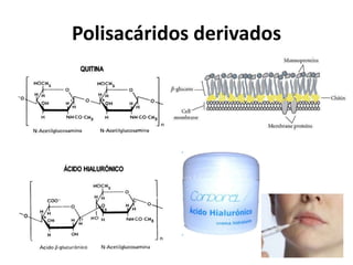 Polisacáridos derivados 
 