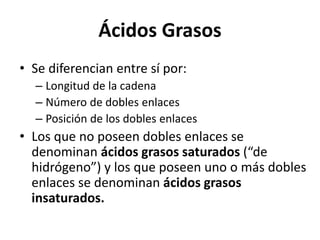 Ácidos Grasos 
• Se diferencian entre sí por: 
– Longitud de la cadena 
– Número de dobles enlaces 
– Posición de los dobles enlaces 
• Los que no poseen dobles enlaces se 
denominan ácidos grasos saturados (“de 
hidrógeno”) y los que poseen uno o más dobles 
enlaces se denominan ácidos grasos 
insaturados. 
 