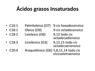 Ácidos grasos Insaturados 
• C16:1 Palmitoleico (Ω7) 9-cis hexadecenoico 
• C18:1 Oleico (Ω9) 9-cis octadecenoico 
• C18:2 Linoleico (Ω6) 9,12 todo cis 
octadecadienoico 
• C18:3 Linolénico (Ω3) 9,12,15 todo cis 
octadecatrienoico 
• C20:4 Araquidónico (Ω6) 5,8,11,14 todo cis 
eicosatetraenoico 
 