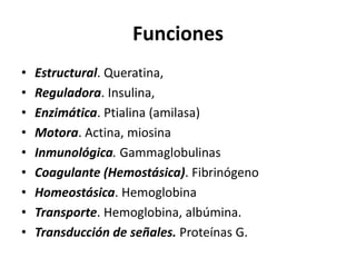 Funciones 
• Estructural. Queratina, 
• Reguladora. Insulina, 
• Enzimática. Ptialina (amilasa) 
• Motora. Actina, miosina 
• Inmunológica. Gammaglobulinas 
• Coagulante (Hemostásica). Fibrinógeno 
• Homeostásica. Hemoglobina 
• Transporte. Hemoglobina, albúmina. 
• Transducción de señales. Proteínas G. 
 