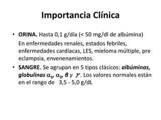 Importancia Clínica 
• ORINA. Hasta 0,1 g/día (< 50 mg/dl de albúmina) 
En enfermedades renales, estados febriles, 
enfermedades cardíacas, LES, mieloma múltiple, pre 
eclampsia, envenenamientos. 
• SANGRE. Se agrupan en 5 tipos clásicos: albúminas, 
globulinas 1, 2, β y γ. Los valores normales están 
en el rango de 3,5 - 5,0 g/dL 
 