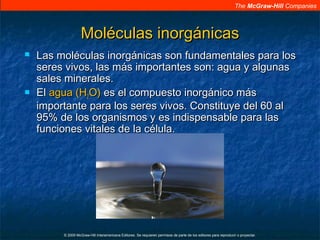 The McGraw-Hill Companies
© 2009 McGraw-Hill Interamericana Editores. Se requieren permisos de parte de los editores para reproducir o proyectar.
Moléculas inorgánicasMoléculas inorgánicas
 Las moléculas inorgánicas son fundamentales para losLas moléculas inorgánicas son fundamentales para los
seres vivos, las más importantes son: agua y algunasseres vivos, las más importantes son: agua y algunas
sales minerales.sales minerales.
 ElEl agua (Hagua (H22O)O) es el compuesto inorgánico máses el compuesto inorgánico más
importante para los seres vivos. Constituye del 60 alimportante para los seres vivos. Constituye del 60 al
95% de los organismos y es indispensable para las95% de los organismos y es indispensable para las
funciones vitales de la célula.funciones vitales de la célula.
 