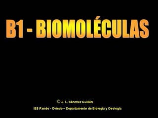 Biomoleculas