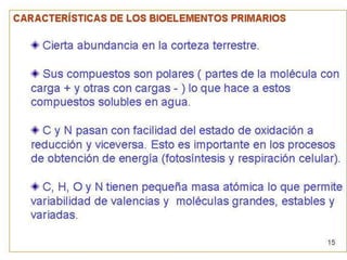 Biomoleculas