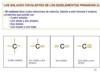 Biomoleculas