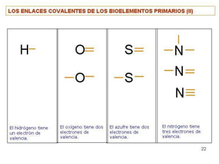Biomoleculas