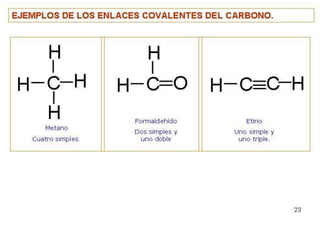 Biomoleculas