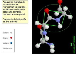 Biomoleculas