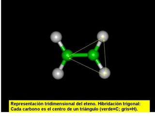 Biomoleculas