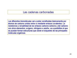 Biomoleculas
