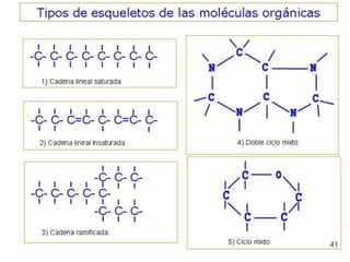 Biomoleculas