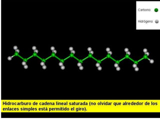 Biomoleculas
