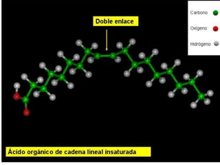 Biomoleculas
