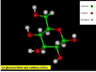Biomoleculas