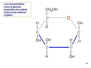 Biomoleculas