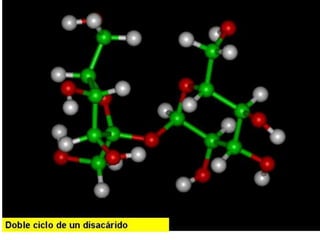 Biomoleculas