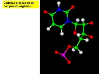 Biomoleculas