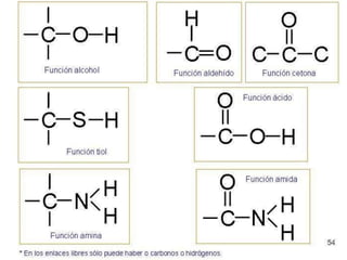 Biomoleculas