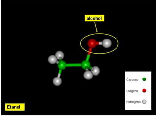 Biomoleculas