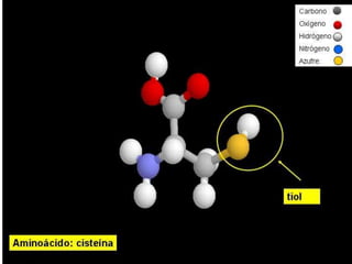 Biomoleculas