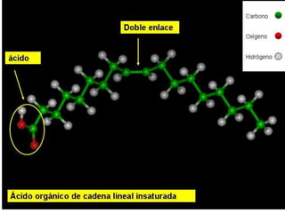 Biomoleculas