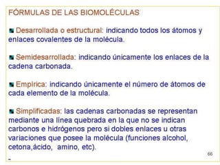 Biomoleculas