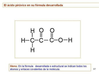 Biomoleculas