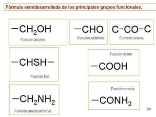 Biomoleculas