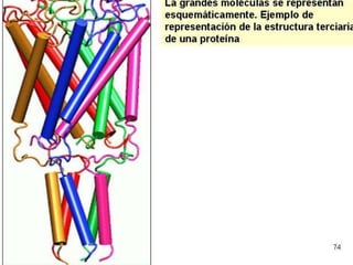 Biomoleculas