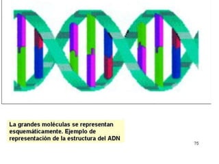 Biomoleculas
