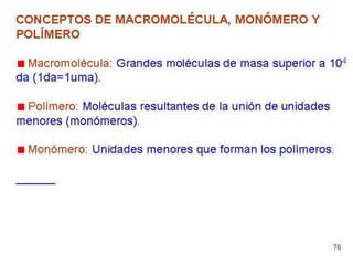 Biomoleculas
