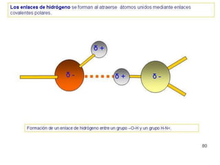 Biomoleculas