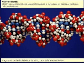 Biomoleculas