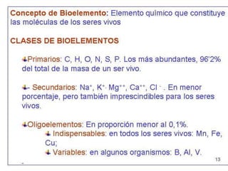 Biomoleculas