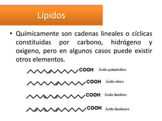 • Químicamente son cadenas lineales o cíclicas
constituidas por carbono, hidrógeno y
oxigeno, pero en algunos casos puede existir
otros elementos.
Lípidos
 