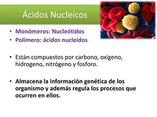Ácidos Nucleícos
• Monómeros: Nucleótidos
• Polímero: ácidos nucleídos
• Están compuestos por carbono, oxigeno,
hidrogeno, nitrógeno y fosforo.
• Almacena la información genética de los
organismo y además regula los procesos que
ocurren en ellos.
 